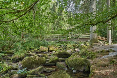 Gemeinde Waldkirchen Landkreis Freyung-Grafenau Saußbachklamm (Dirschl Johann) Deutschland FRG